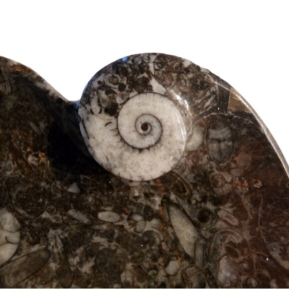 NWOT Gray Heart Shape Natural Stone Fossil Dish - Picture 3 of 9